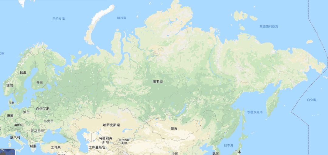 如松 ： 熊半疯