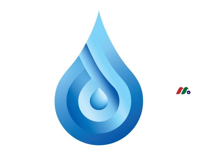 临床阶段生物制药公司：Dermavant Sciences Ltd.(DRMT)