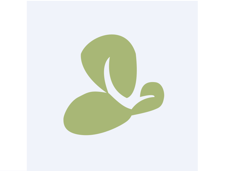 专业金融公司：Orchid Island Capital, Inc.(ORC)