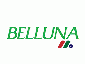 日本邮购公司：伯纳公司 Belluna Co., Ltd.(9997.T)