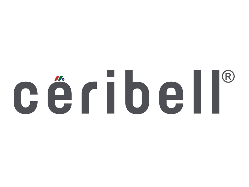 美国人工智能即时诊断脑电图系统开发公司：Ceribell, Inc.(CBLL)