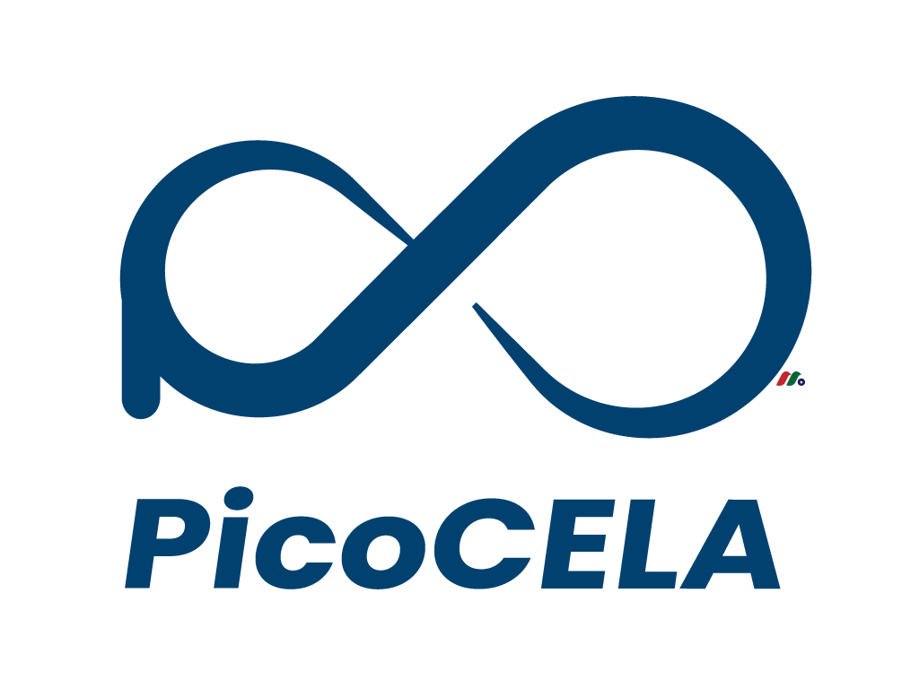 日本网状 Wi-Fi 接入点设备制造商：PicoCELA(PCLA)